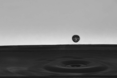 f34 NICODEMO FELLETI